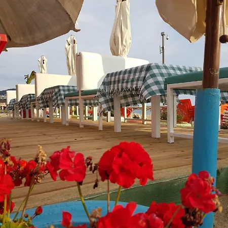 Miss Cleopatra Hotel