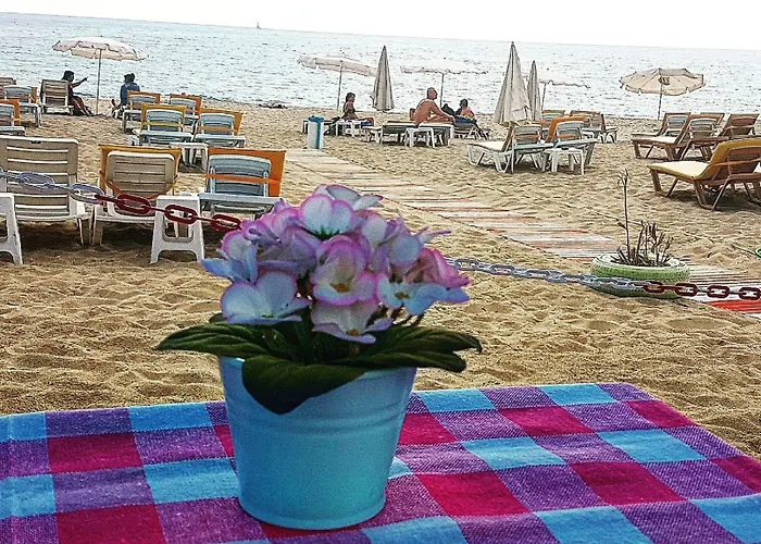 Hotell Miss Cleopatra