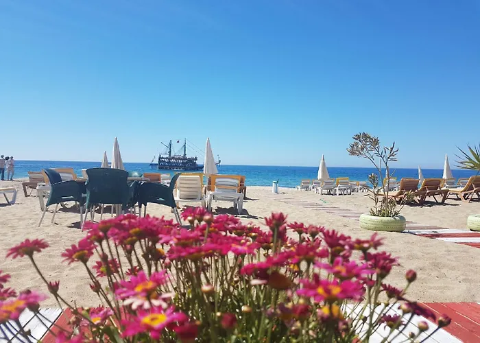 Miss Cleopatra Готель 2*